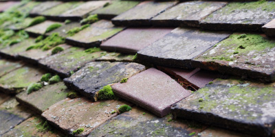 Birkdale roof repair costs